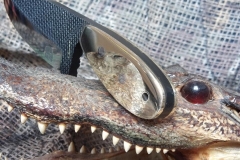 29136342_1856716084401535_4570456557178847232_n