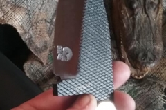 29187278_1856715847734892_6481402925825392640_n