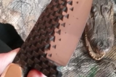 29196288_1856715907734886_6583414150066601984_n