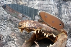 29214903_1856715724401571_8580329898369875968_n