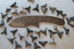 WIP. The serrations and inspiration for the MAKO Design