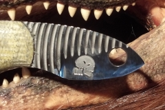 Bladedetail